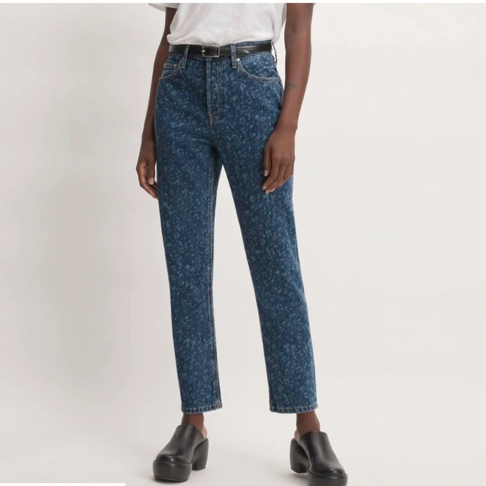 Everlane the 90’s cheeky jeans loose fit high rise painterly strokes 24 new